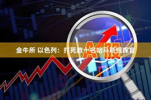 金牛所 以色列：打死数十名哈马斯指挥官