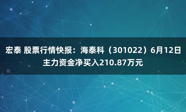 宏泰 股票行情快报：海泰科（301022）6月12日主力资金净买入210.87万元