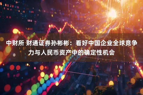 中财所 财通证券孙彬彬：看好中国企业全球竞争力与人民币资产中的确定性机会
