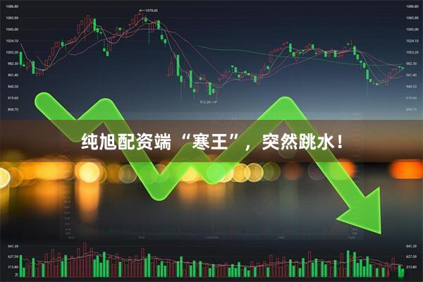 纯旭配资端 “寒王”，突然跳水！